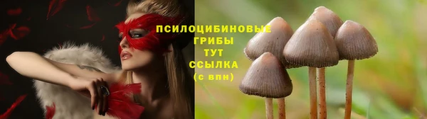 герыч Абаза