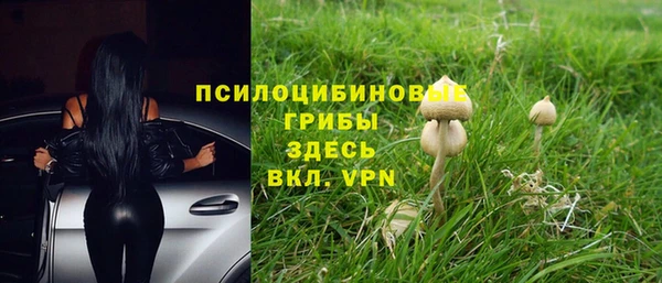 трава Абинск